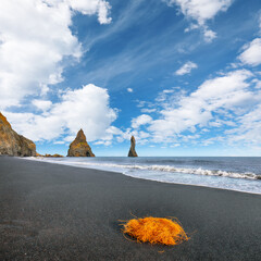 Impressive landscape with basalt rock formations Troll Toes on Black beach Reynisfjara near the village of Vik.