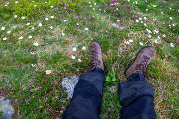 POV shot of worn hiking boots surrounded by delicate mountain flowers. Adventure traveler taking break in colorful wildflower field during trek
