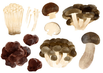 きのこ　アイコン　イラスト　手描き　水彩風