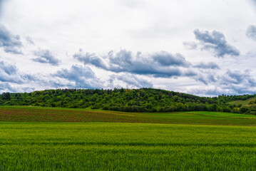 Field, hill, wheat, clouds