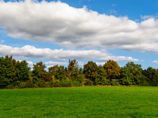 Lawn, trees, clouds