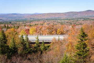 Deserted stretch of a motorway bridge in a forested mountain landscape in autumn