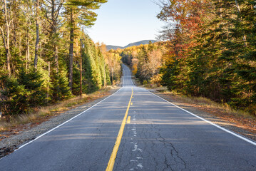 Deserted stretch of a mountain road through a dense forest at sunset in autumn