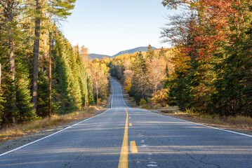 Deserted mountain road through a forest in sunset light in autumn
