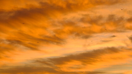 sunset in the sky, Canada, Alberta