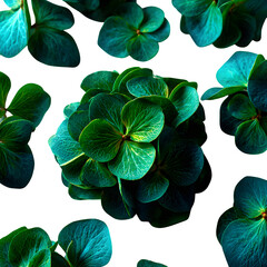 Scattered hydrangea leaves, deep green with smooth texture, scattered loosely on a white background, no shadows.