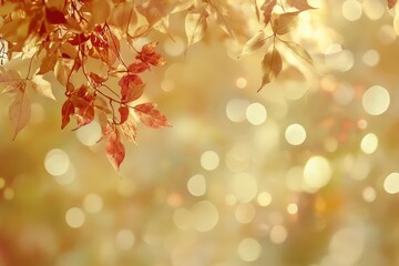 Obraz premium Autumn leaves bokeh background (1)