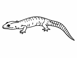 Naklejka premium Line Art Drawing of a Lizard Detailed Illustration of Reptile Anatomy