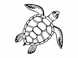 Sea Turtle Line Art Elegant Black and White Illustration