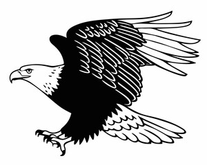 Majestic Bald Eagle in Flight A Powerful Black and White Illustration