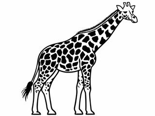 Naklejka premium Elegant Giraffe Line Art Black and White Illustration