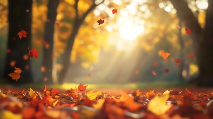 Autumn leaves fall in park