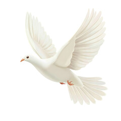 A free flying white dove isolated on white and transparent background