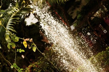 Fonte jorrando água no meio das plantas de um jardim. 