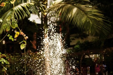 Fonte jorrando água no meio das plantas de um jardim. 