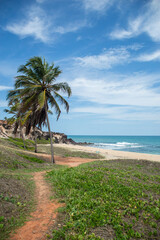 Tropical escape at Praia das Minas beach in Pipa, Brazil