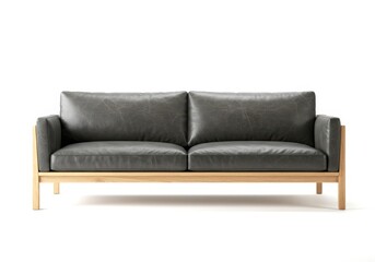 Modern leather sofa with wooden frame isolated on white background