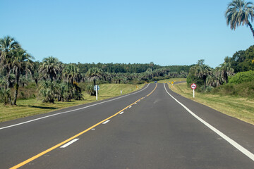 Rutas con Palmeras