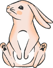 Rabbit is sitting in hand-drawn flat design, showing pastel peach tones with transparent background