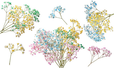 Gypsophila branches with small flowers in different colors on white background, collage