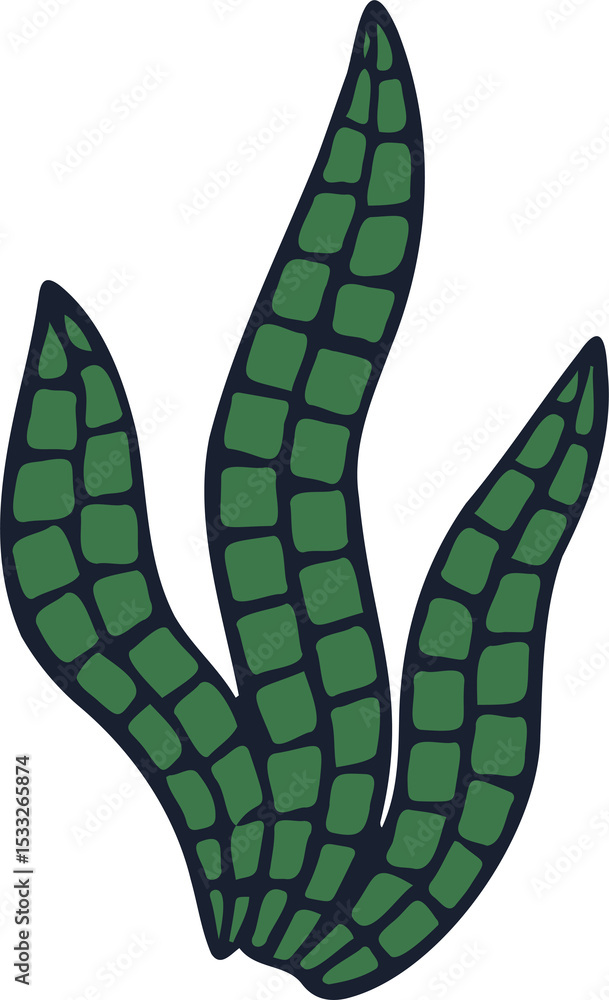 Poster showing flat vector succulent fanning five leaves with grid pattern on transparent backdrop