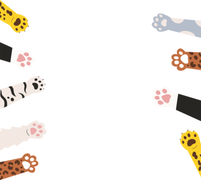 Vector cat paws are reaching inward from transparent background, showing fur patterns copy space