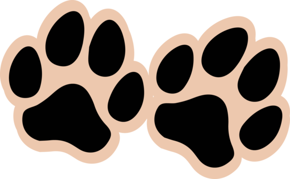 Presenting two paw prints in flat style on transparent background showing black pads beige outlines