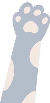 Fototapeta Flat design cat foreleg is showing cream patches, rounded pads and claws on transparent background