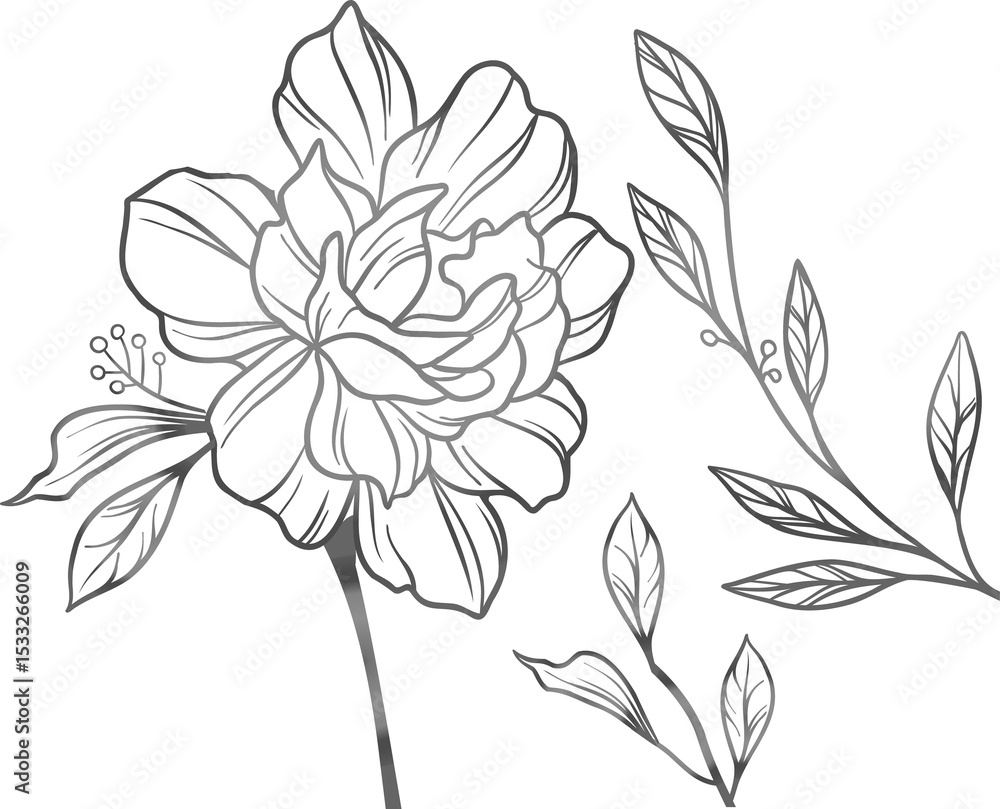 Aufkleber stylized bloom with stem and leaf sprigs is appearing in line-art vector on transparent background