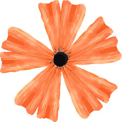 Flat vector orange poppy-like bloom is floating on transparent backdrop showing six textured petals