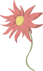 Flat floral design is showing on transparent bg with coral-pink petals, yellow center, green stem