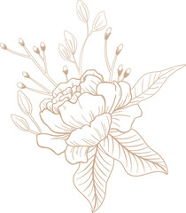 Line art is showing blooming flower with stem buds and veined leaves transparent background