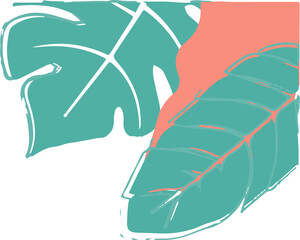 Showing vector illustration with monstera and banana leaves, coral accent on transparent background