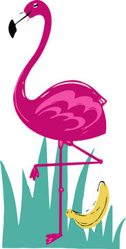 Fototapeta Cartoon-style pink flamingo is balancing on one leg with banana and grass, transparent background
