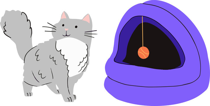 Fototapeta Flat design grey cat is standing beside purple dome bed hanging orange ball, transparent background