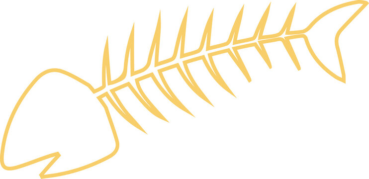 Showing stylized fish skeleton in line art with head, spine, ribs, tail fin, transparent background