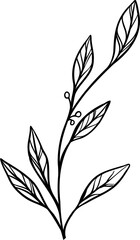 Showing stylized plant branch in minimal sketch style with leaf venation on transparent background