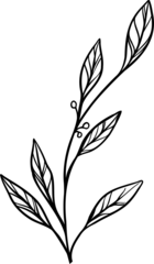 Gardinen Showing stylized plant branch in minimal sketch style with leaf venation on transparent background © vectorfusionart