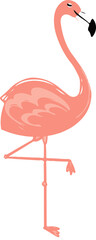 Stylized pink flamingo is standing on one leg in flat design, showing transparent background