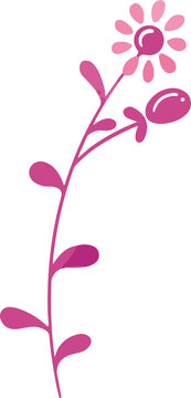 Fototapeta Showing flat-vector pink sprig teardrop leaves daisy-like bloom and bud on transparent background