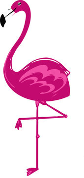 Fototapeta Pink flamingo design is featuring curved neck and white beak in vector with transparent background