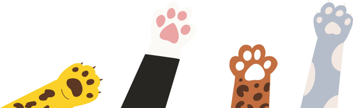 Fototapeta Five cartoon cat paws are rising in flat design with colorful patterns on transparent backdrop
