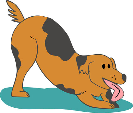 Fototapeta Medium-breed cartoon dog bowing playfully on teal ground in flat design, transparent background