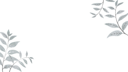 Stylized leaf clusters are forming asymmetric border on transparent canvas with pale grey leaves