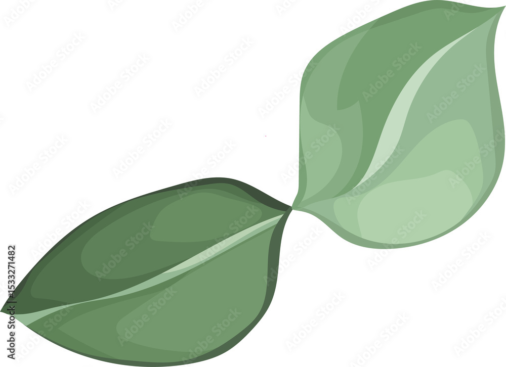 Poster pair of flat vector leaves are connecting at base with gradient shading on transparent background