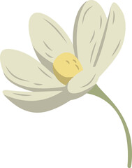 Flat vector flower is showing white petals around yellow disk with stem on transparent background