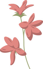 Three coral-pink flowers on branching stem are being shown in flat design, transparent background