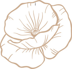 Stylized line art flower is displaying layered petals with beige veins on transparent background