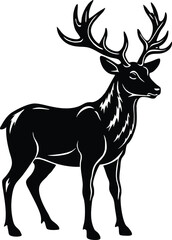 Silhouette of Majestic Deer with Large Antlers Standing Still