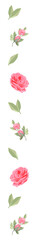 Flat design botanical art is showing pink roses and flowers with green leaves on transparent plane